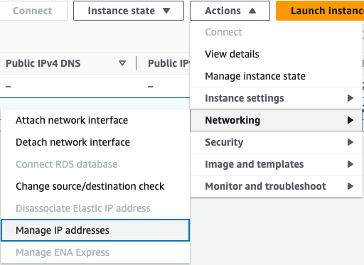 Select “Networking” - “Manage IP addresses”