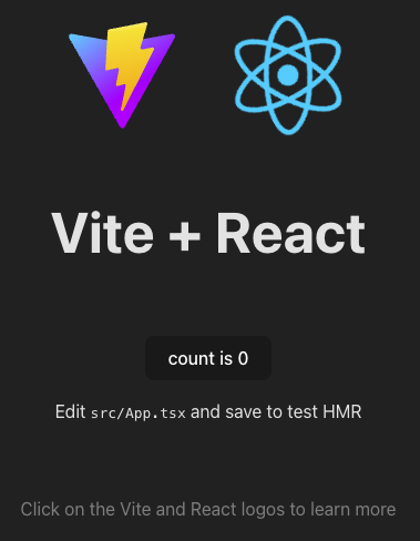 Initial React App screen with Vite