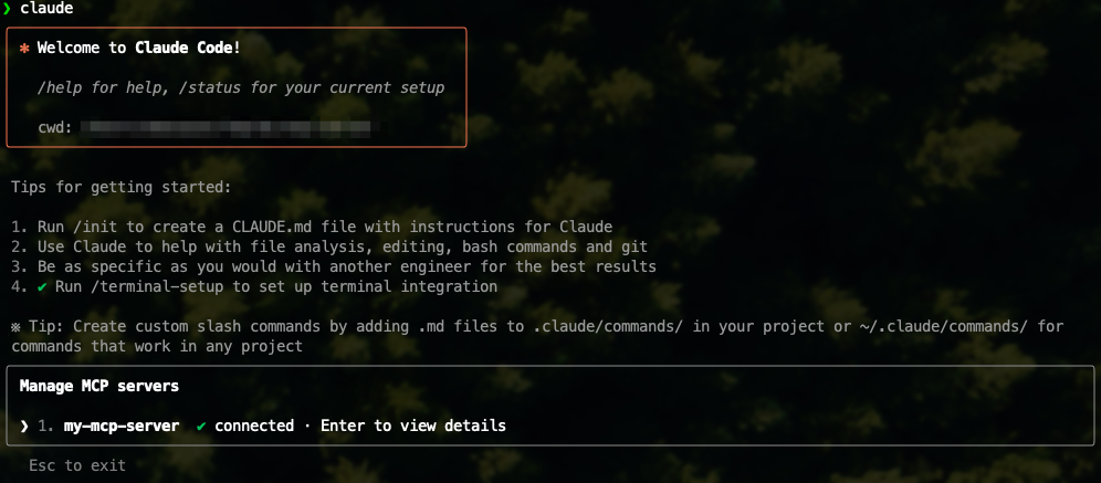 MCP server status in Claude Code